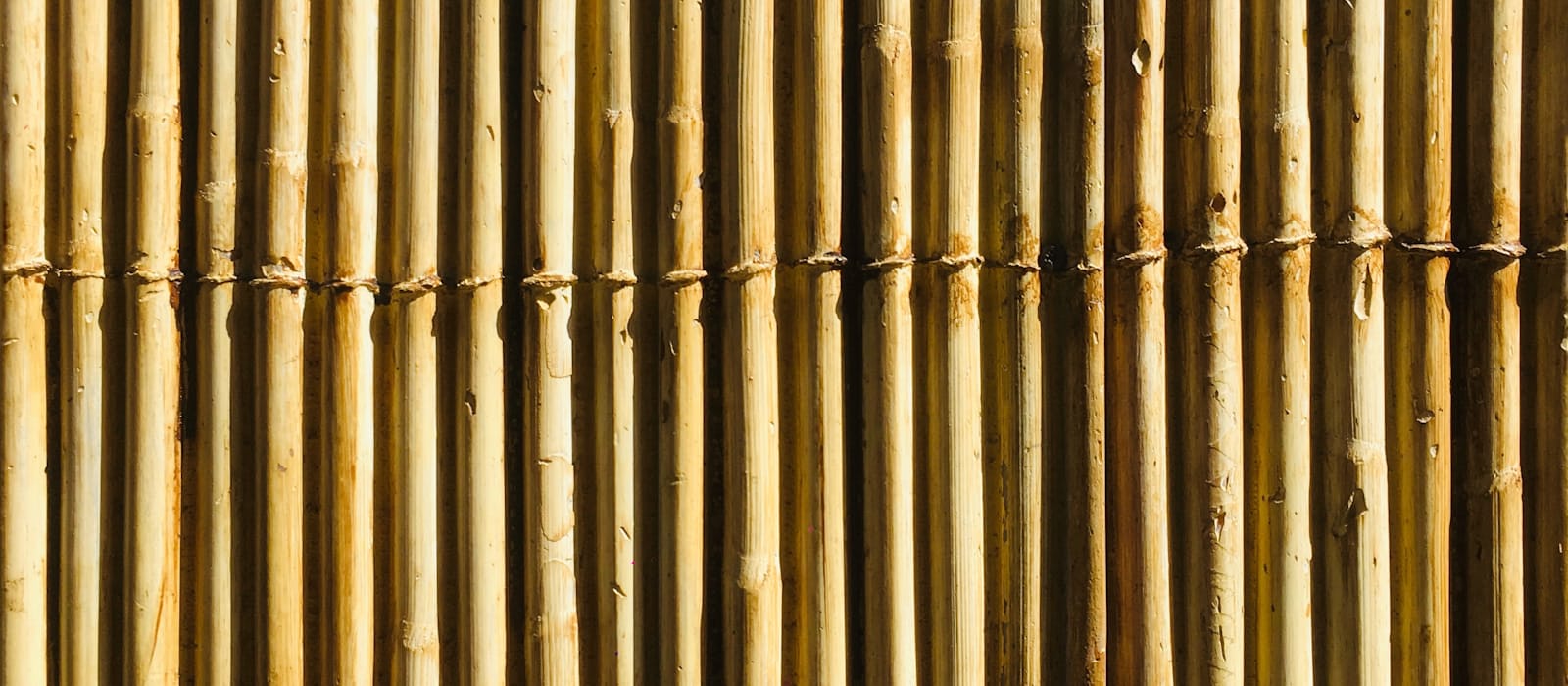 Warm bamboo Schach canopy texture for a Sukkah roof, poles laid closely side by side