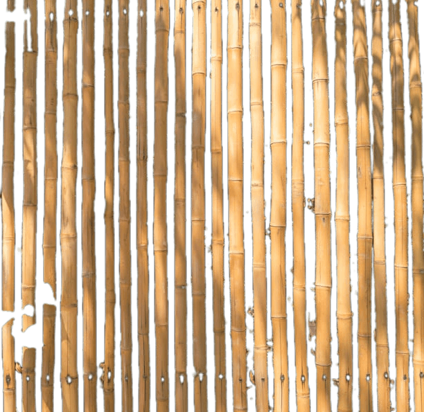 1 inch standard bamboo Schach poles for a Sukkah roof, close-up
